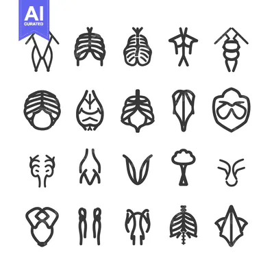 Aset desain premium: Collection of Line Drawings of Anatomical Structures