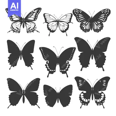 Popular premium asset: Collection of Nine Black and White Butterfly Silhouettes
