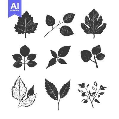 Aset premium populer: Collection of Nine Black and White Leaf Silhouettes
