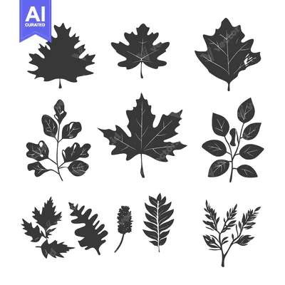 Aset premium populer: Collection of Nine Black and White Leaf Silhouettes