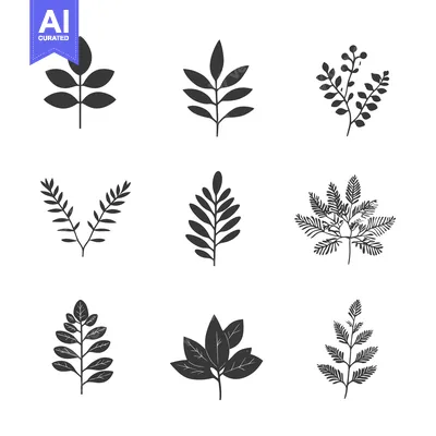 Popular premium asset: Collection of Nine Black Silhouette Botanical Branch Illustrations