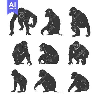 Aset desain premium: Collection of Nine Black Silhouettes of Chimpanzees in Various Poses