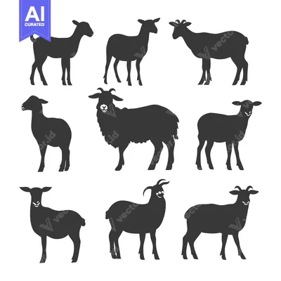 Aset desain premium: Collection of Nine Sheep and Goat Silhouettes