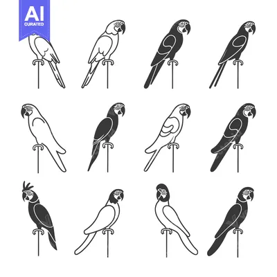 Aset premium populer: Collection of Parrot Illustrations in Black and White