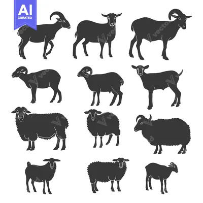 Premium design asset: Collection of Sheep and Goat Silhouettes in Black