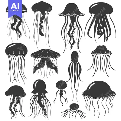 Collection of Silhouette Jellyfish with Varying Shapes and Tentacles