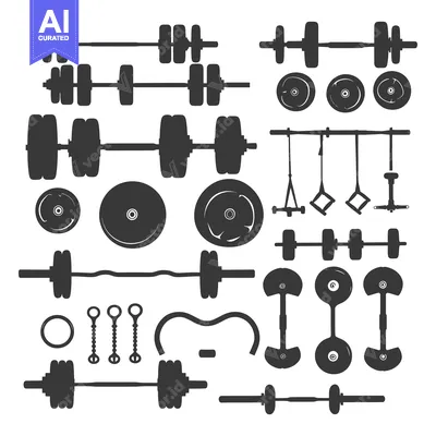 Collection of Silhouettes of Weights, Barbells, and Gym Equipment