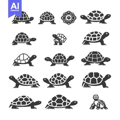 Aset premium populer: Collection of Silhouette Turtle Illustrations in Different Poses
