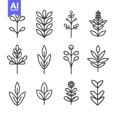 Popular premium asset: Collection of Simple Line Art Floral Designs