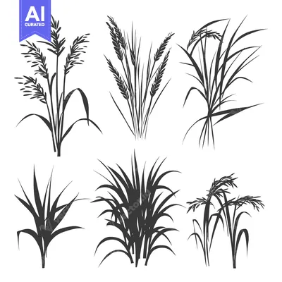 Aset desain premium: Collection of Six Black and White Grass Silhouettes