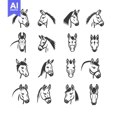 Popular premium asset: Collection of Sixteen Black and White Horse Head Illustrations