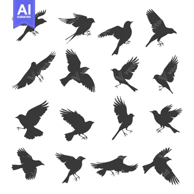 Aset premium populer: Collection of Sixteen Black Bird Silhouettes in Flight