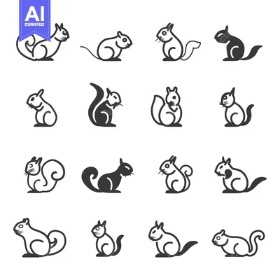 Premium design asset: Collection of Sixteen Simple Squirrel Line Drawings