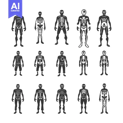 Popular premium asset: Collection of Skeleton Silhouettes in Various Poses