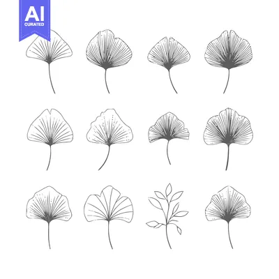 Aset premium populer: Elegant Ginkgo Leaf Collection - Botanical Line Art Illustrations.
