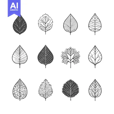 Aset premium populer: Collection of hand-drawn leaf illustrations in various shapes and styl