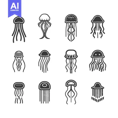Collection of twelve black and white jellyfish illustrations