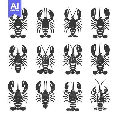 Aset premium populer: Collection of Twelve Black and White Lobster Illustrations