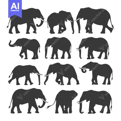 Premium design asset: Collection of Twelve Elephant Silhouettes in Various Poses