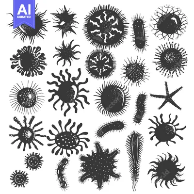 Aset desain premium: Collection of Various Microorganism Silhouettes