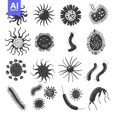 Aset desain premium: Collection of Various Types of Microorganisms in Black and White Silho