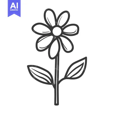 Aset premium populer: A simple line drawing depicting a daisy flower on its stem