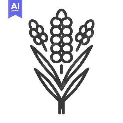 Aset premium populer: Graphic representation of three stalks of wheat or similar grain