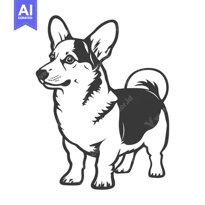 Premium design asset: A black and white illustration depicting a standing corgi dog