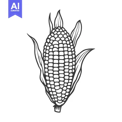 Aset premium populer: An illustrated ear of corn with its leaves depicted