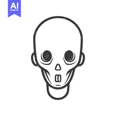 Popular premium asset: Simple stylized illustration of a human skull in black outline