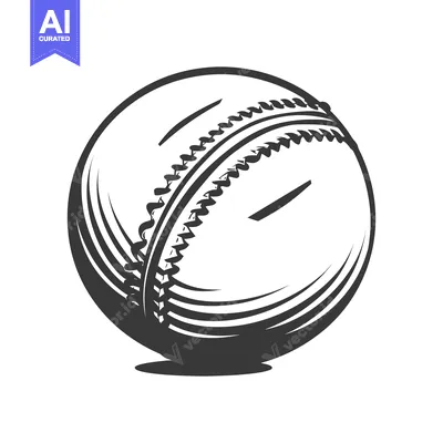 Popular premium asset: A detailed black and white illustration of a baseball
