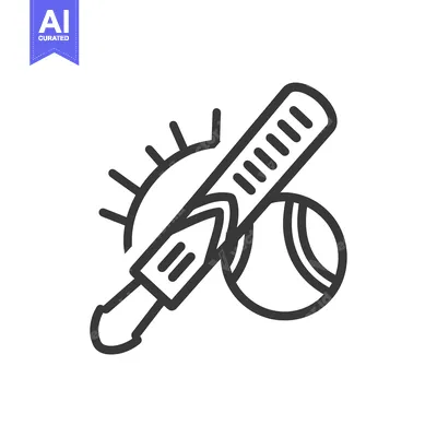 Aset premium populer: A simple illustration shows sports equipment with the sun