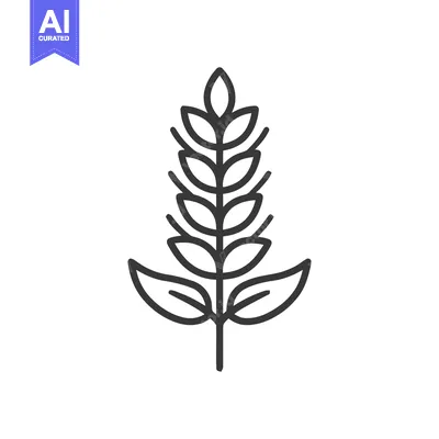 Aset premium populer: Minimalist Wheat Stalk Icon: Clean Line Art on White Background