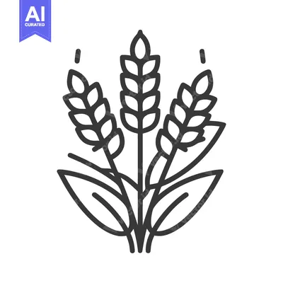 Aset desain premium: Minimalist Wheat Stalks Illustration with Leaves and Droplets, Black O