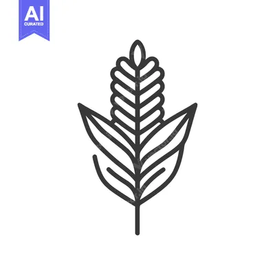 Aset premium populer: Minimalist Line Art: Stylized Corn Stalk with Leaves on White Backgrou