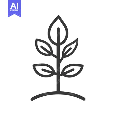 Popular premium asset: An illustrative drawing depicts a small plant with several leaves