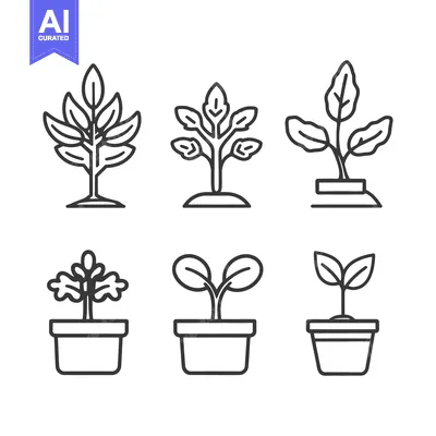 Popular premium asset: Simple linear illustrations depicting various plants and their stages