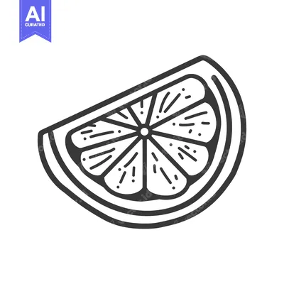 Popular premium asset: A black and white line drawing illustration of citrus fruit
