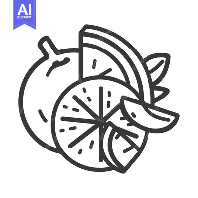 Popular premium asset: An illustrated drawing of various cut citrus fruits and leaves