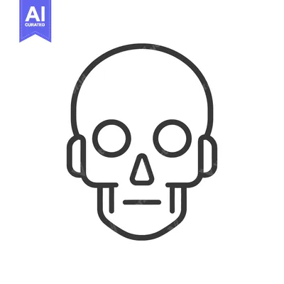Popular premium asset: A simplified black and white drawing of a human skull