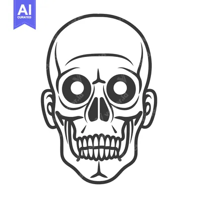 Aset desain premium: A stylized graphic representation of a human skull with detailed featu