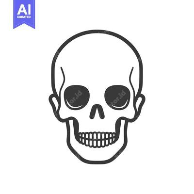 Aset premium populer: A simple stylized black and white illustration of a human skull