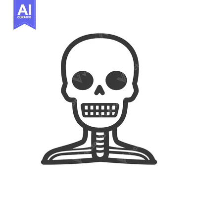 Popular premium asset: A simple illustrated depiction of a human skeletal structure
