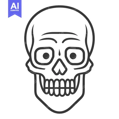 Popular premium asset: A simple black and white illustration of a human skull