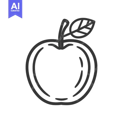 Popular premium asset: A simple line drawing illustrating a fruit with leaf attached