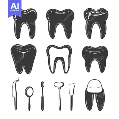 Aset premium populer: Dental Tools and Tooth Illustrations