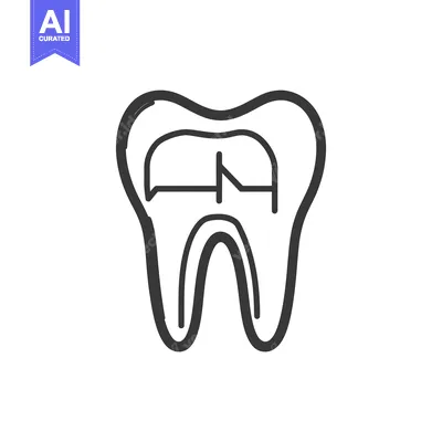 Aset premium populer: Simple black and white sketch illustrating the anatomy of a molar toot