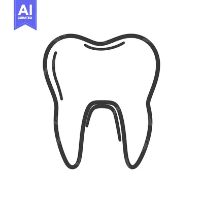 Premium design asset: A simple outlined illustration depicting a human tooth in isolation