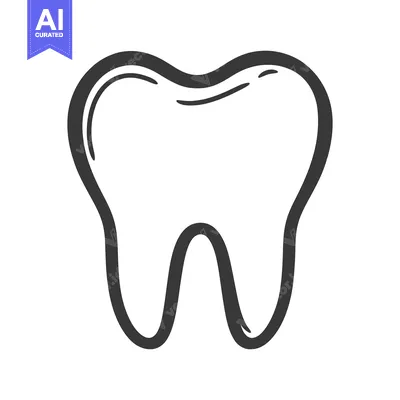 Aset desain premium: An isolated illustration depicting the human tooth in a simple drawing