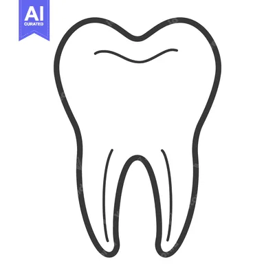 Premium design asset: A simple and elegant illustration of a human molar tooth
